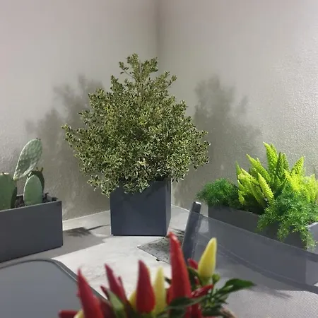 Lägenhetshotell Casa Mimi