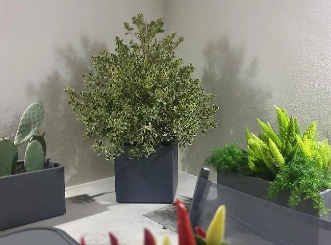 شقة فندقية Casa Mimi